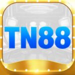FAV-TN88