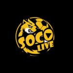 logo-30