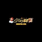 88Hay88org-logo