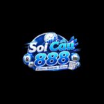 logo-1