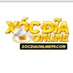 logo-11