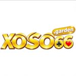 logo-35