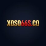 logo-45