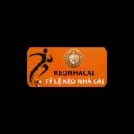logo-55